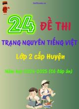 Bộ đề thi Trạng Nguyên Tiếng Việt Lớp 2 cấp Huyện năm học 2024-2025 (24 Đề + Đáp án)